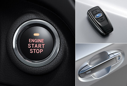 Keyless Access and Push-button Start System